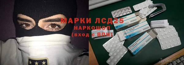 ГАЛЛЮЦИНОГЕННЫЕ ГРИБЫ Алексеевка