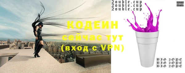 метадон Алексин