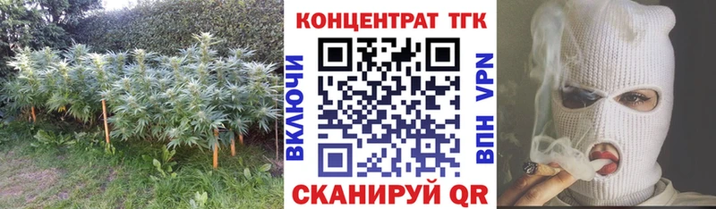 Дистиллят ТГК Wax Егорьевск