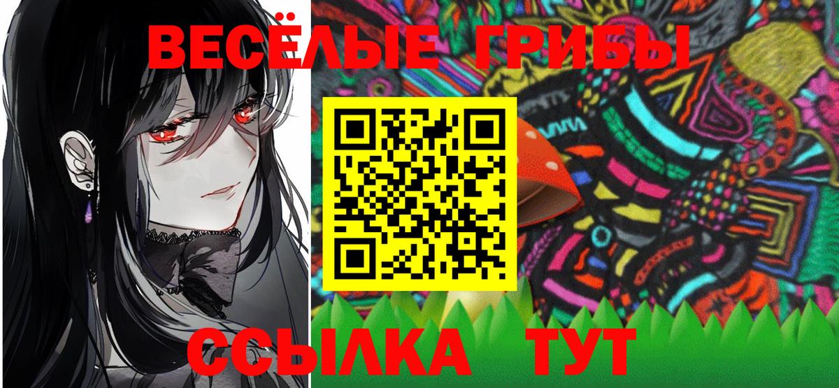 Егорьевск  Галлюциногенные грибы Psilocybe  Вход с VPN 