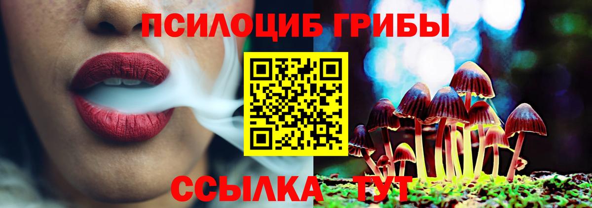 Галлюциногенные грибы мицелий Егорьевск